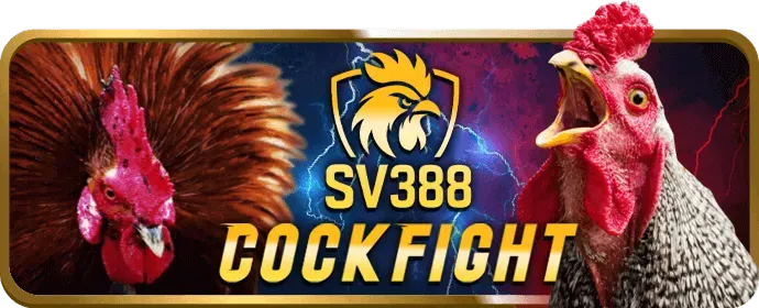 Hỗ trợ khách hàng 24/7 của 87win link mới